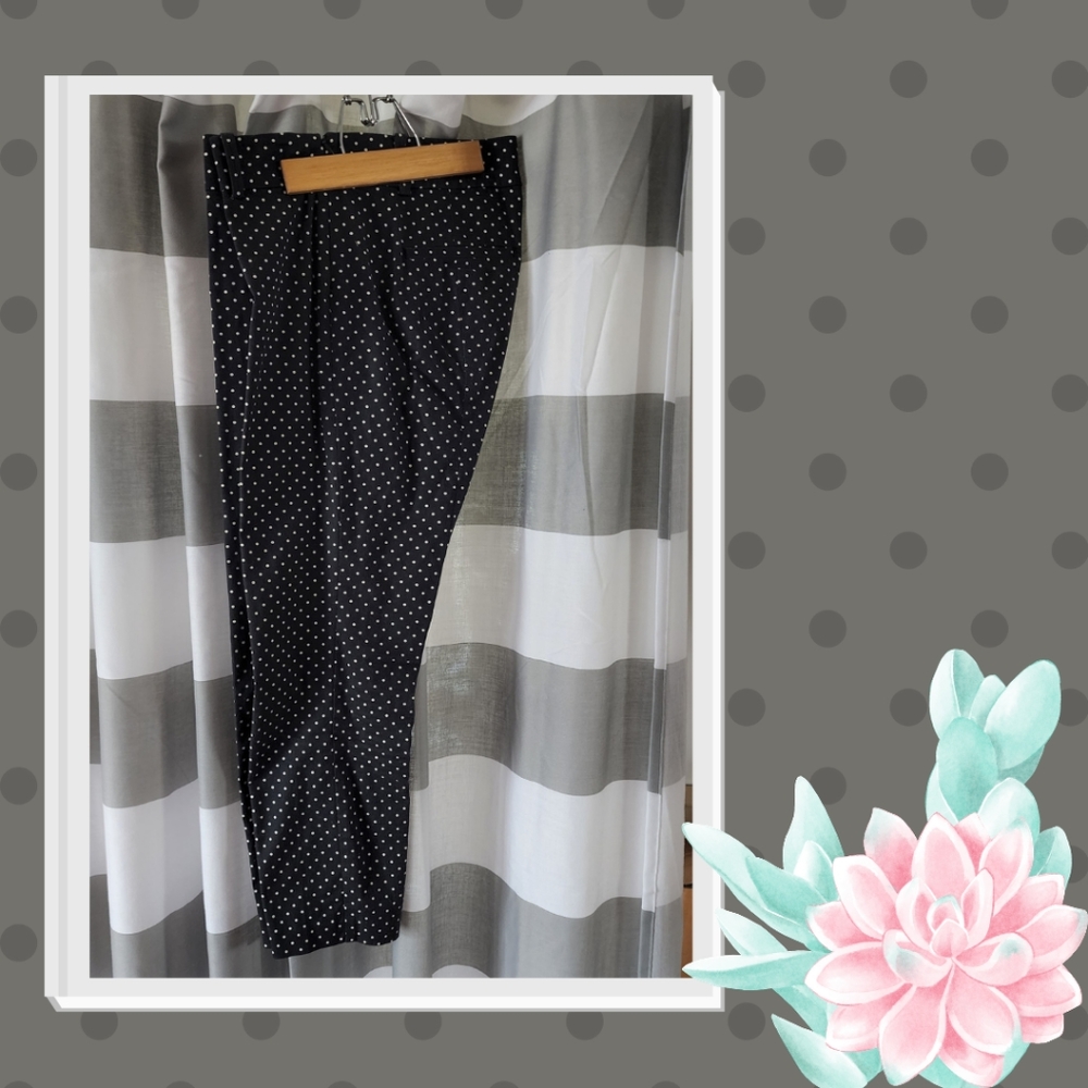 Ann Taylor Chelsea Crop